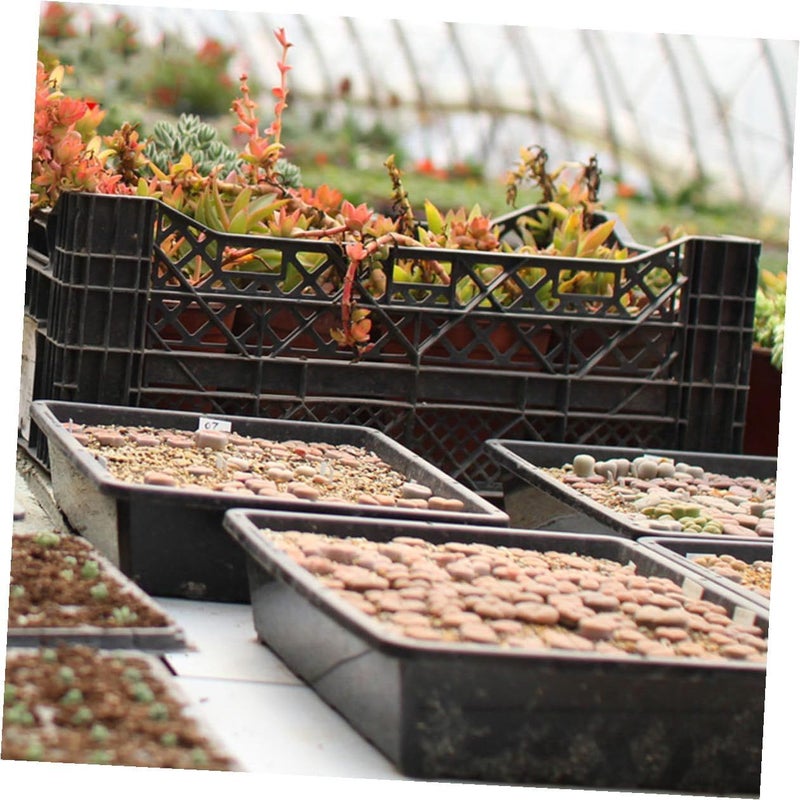 Thickened Plastic Nursery Pots And Trays Set For Seedling Propagation Black - Image 4