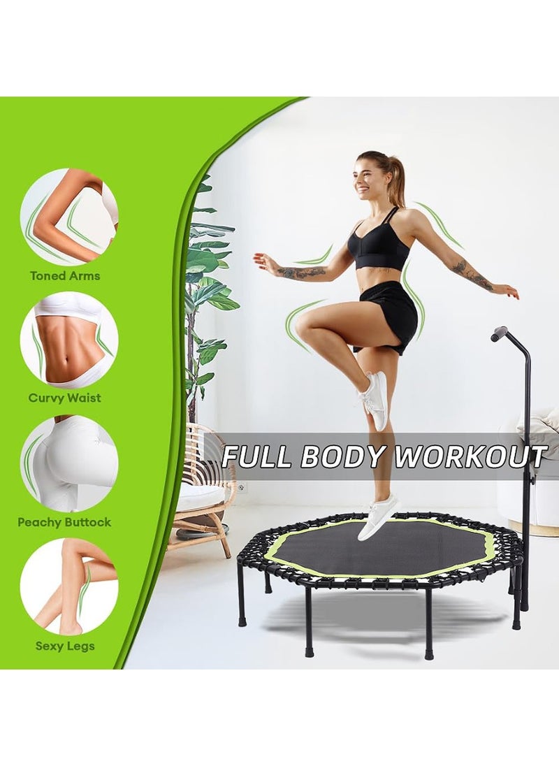 COOLBABY 51 Inch Quiet Mini Trampoline with Adjustable Handles, Fitness Trampoline, Bungee Jumping, Cardio Trainer for Adults Workout - pzsku/Z3645D761A00E7F4DAEBFZ/45/_/1726383021/36f57c52-8ace-4dea-b937-e50b8d45d8d0