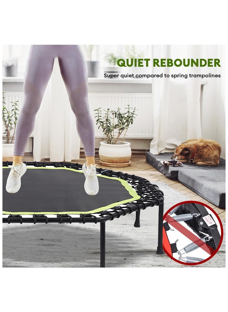 COOLBABY 51 Inch Quiet Mini Trampoline with Adjustable Handles, Fitness Trampoline, Bungee Jumping, Cardio Trainer for Adults Workout - pzsku/Z3645D761A00E7F4DAEBFZ/45/_/1726383071/262c19fe-de4f-4659-b67f-54bb8d91df53