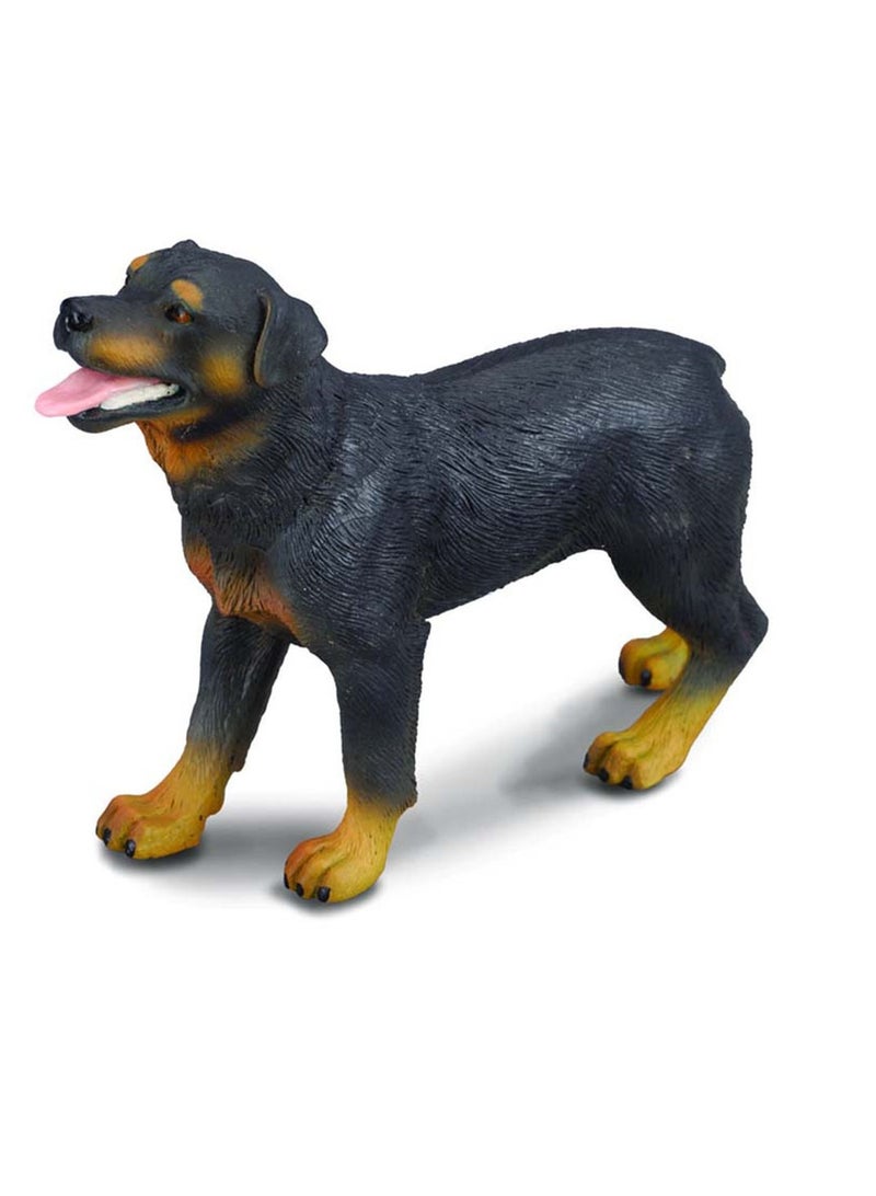 Collecta - Rottweiler - 88189