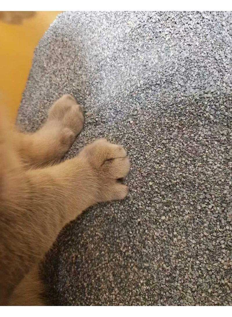 اي بي سي رمل قطط معدني طبيعي ٥ لتر - برائحة بودرة الأطفال | خالٍ من الغبار بنسبة ٩٩٫٩٪، سريع الامتصاص، تكتل جيد، وتحكم في الروائح - Image 3