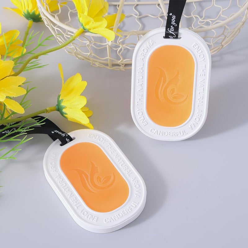 Homestic Homestic Wax Air Wardrobe Freshener Pack of 2 Orange Fragrance 45g Each Lasts Up to 6 Months Air Freshener for Home Drawer Closet Cars Wardrobe Natural and Eco Friendly  - Image 1