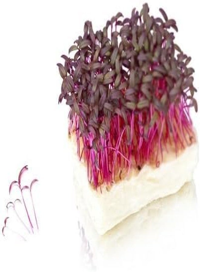 Vacu Vin Vacuvin | Herb Pincer | Green | Pc - Image 2