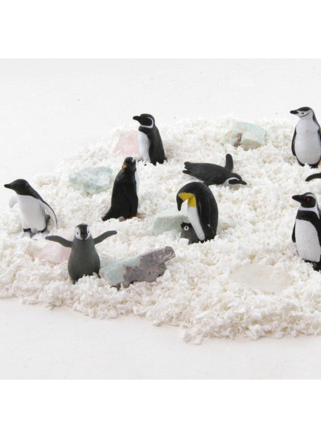 Safari Ltd. Safari Ltd Penguin TOOB With 10 Fun and Flightless Figurines, Including Gentoo, Humboldt, Chinstrap, Rockhopper, Galapagos, Adelie, Swimming, Sliding, Baby, And Penguin With Baby Ages 3 And Up  - Image 2
