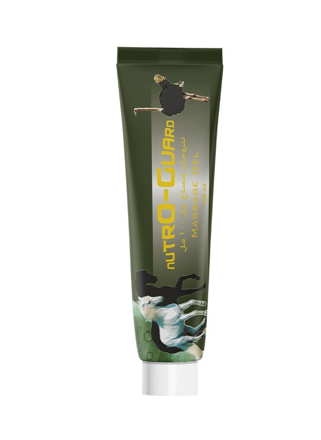 Noor AlQmar Nutro Guard Massage Gel To Relief Joints And Ligaments Pain - 100 Ml  - Image 2