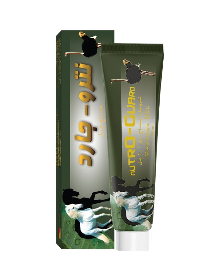 Noor AlQmar Nutro Guard Massage Gel To Relief Joints And Ligaments Pain - 100 Ml  - Image 1