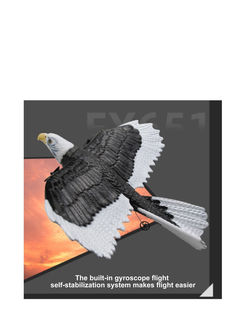 AROAQ DIY RC Plane Toy FX651 3B Remote Control Airplane DIY Fixed Wing Aircraft - Image 2