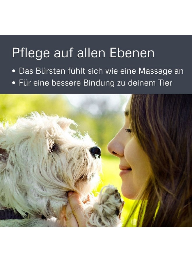 ألكوت فرشاة العناية بالشعر الناعمة من الخيزران صغيرة الحجم (BG SSLICK SM) - Image 4