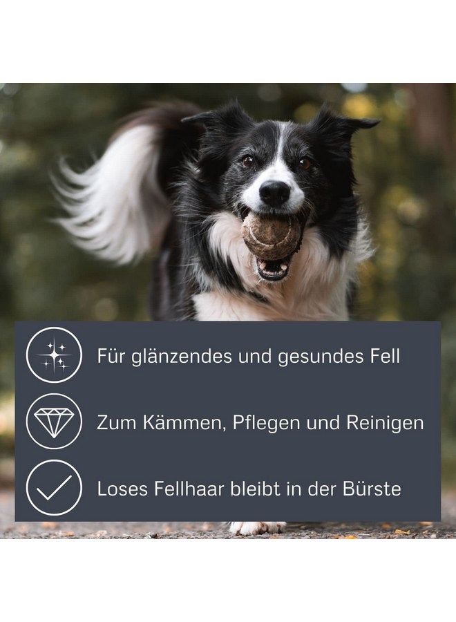 ألكوت فرشاة العناية بالشعر الناعمة من الخيزران صغيرة الحجم (BG SSLICK SM) - Image 3