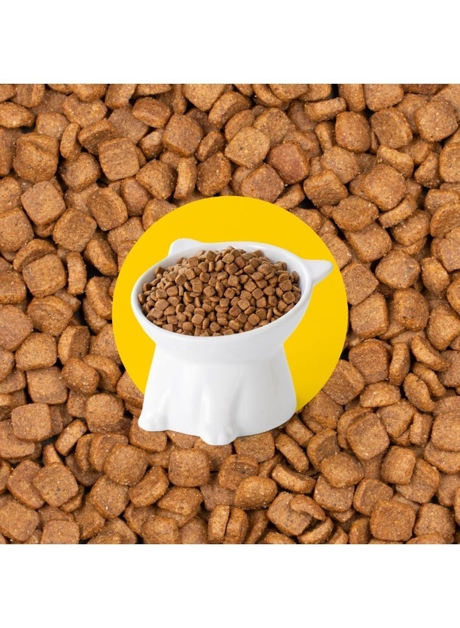 Voskes Kitten Complete Dry Cat Food Chicken 7kg – High Protein Kitten Food for Healthy Growth, Strong Immunity & Digestion – Premium Kitten Dry Food Made in Belgium for Young Cats - Image 2