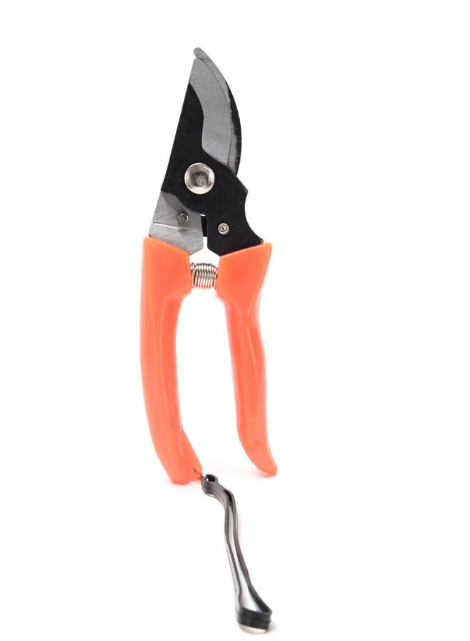 لوازم مقص حدائق بقصّاصتين منحنية وحادة مع نابض للفتح التلقائي وقفل أمان، مقبض مريح غير قابل للانزلاق، مناسب لتقليم النباتات والأزهار والأغصان الصغيرة - Image 2