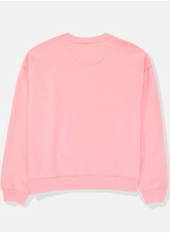 American Eagle Graphic Crew Neck Sweatshirt  - Image 3