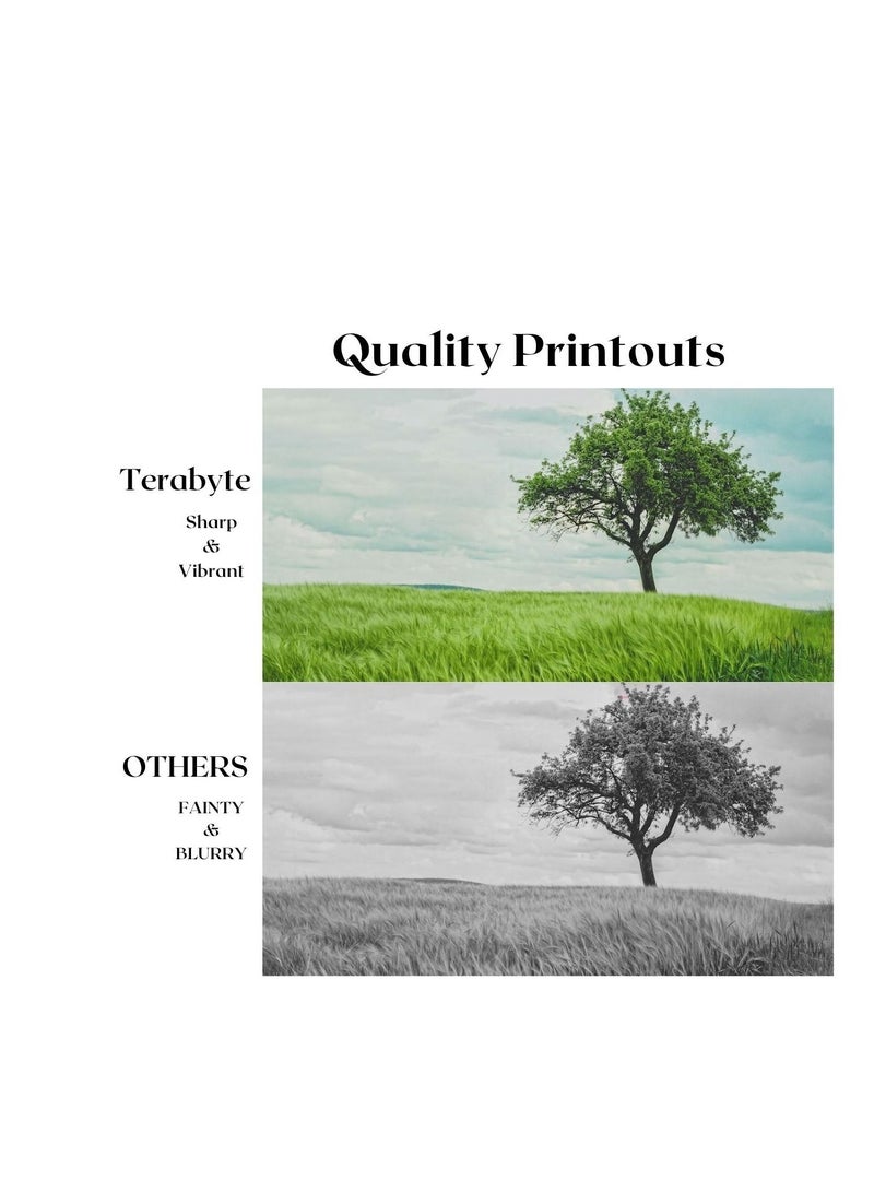 Terabyte تونر بديل MPC2004/2503 ريكو (4 ألوان) تيرابايت - Image 2