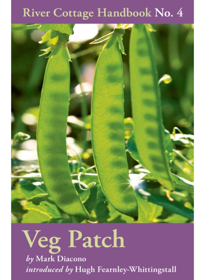 Veg Patch : No. 4