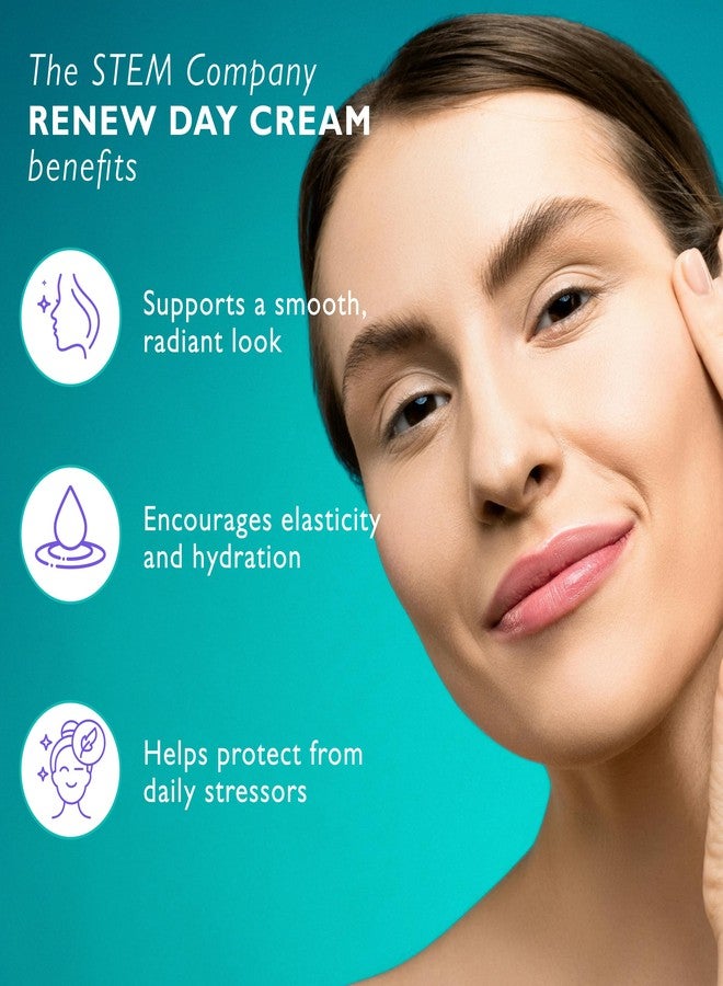 STEM Natural Intelligence كريم تجديد يومي من STEM للذكاء الطبيعي، مرطب يومي للوجه، مرطب فاخر للوجه للنساء والرجال، منتجات عناية بالبشرة الفاخرة مع مضادات الأكسدة، كريم للرقبة والوجه، 1 أونصة - Image 4