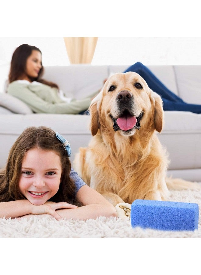 Mudder Mudder 6 Pieces Pet Hair Remover for Dog Cat Pet Hair Stone Remover Pumice Pet Hair Rock Removal Tool for Laundry Furniture Reusable Dog Hair Remover Easy to Clean, Blue, 4 Inch - Image 2