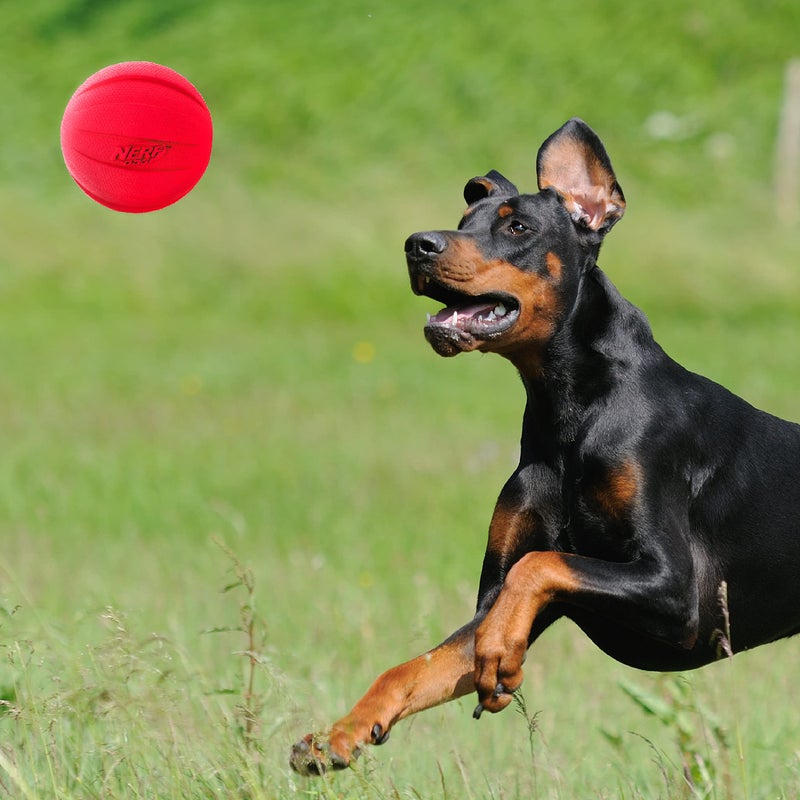 Nerf Dog Classic Squeak Ball Outdoor Dog Toy, 3.8 Inch Dog Ball Fetch Toy, Squeaking Toy for Medium and Large Breeds, Green/Red, 2 Count - Image 2