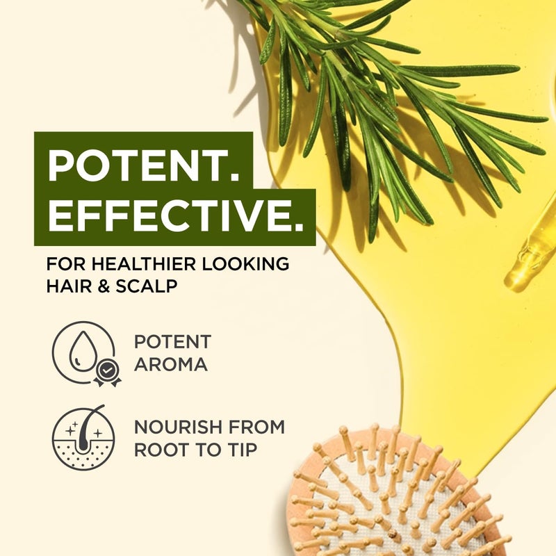 Gya Labs Rosemary Essential Oil - 4 Fl Oz - for Hair, Skin, Diffuser, Aromatherapy & DIY Candle Making Scent - Image 3