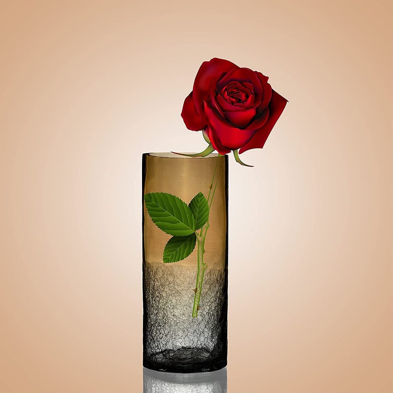 DECENT GLASS Crackle Luster Flower Vase Crackle Luster Style 5