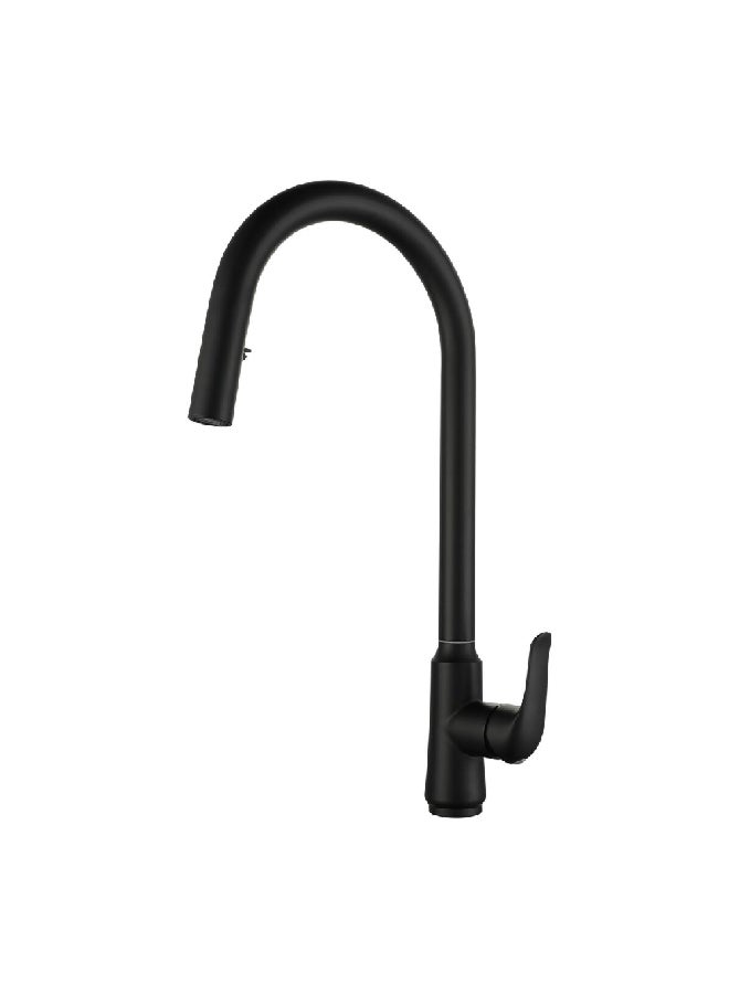 Aqua Drop Elegant and Modern Design Stainless Steel Kitchen Mixer Black 1 x 1 x 1 cm JS-K092B