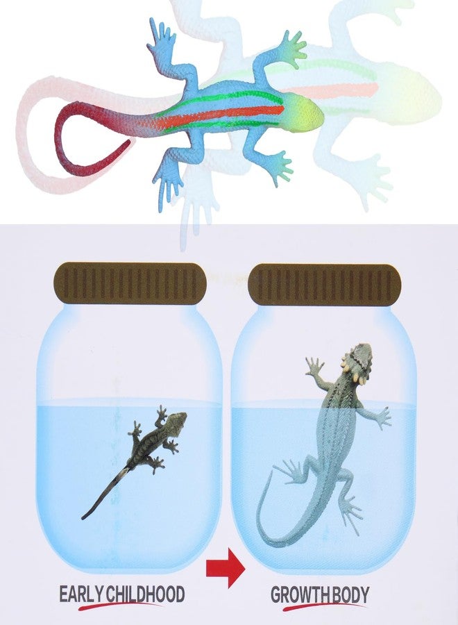 Confidence Water Growing Toys Animal Creature Expandable Toys Party Favors Fun Play Item for Kids Boys and Girls (1 Pc, Multicolor) (Lizard) - Image 3