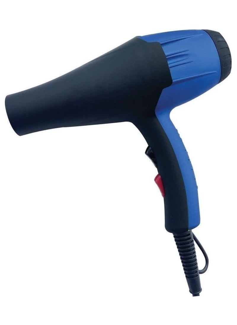 Denx Professional Hair Dryer - Image 1