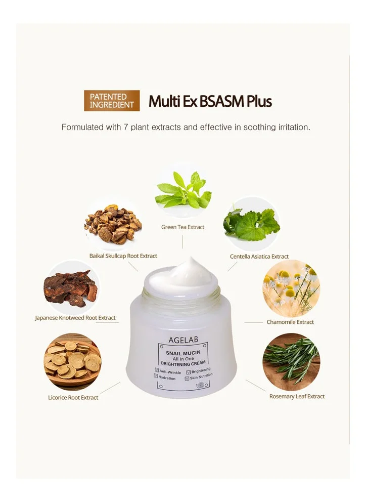 Age Lab Snail Mucin All-In-One Brightening And Firming Cream Hydrating, Anti-Aging, & Wrinkle-Reducing Korean Skincare, Evens Skin Tone & Boosts Elasticity Ideal for Sensitive Skin - 60g