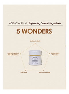 Age Lab Snail Mucin All-In-One Brightening And Firming Cream Hydrating, Anti-Aging, & Wrinkle-Reducing Korean Skincare, Evens Skin Tone & Boosts Elasticity Ideal for Sensitive Skin - 60g  - Image 4