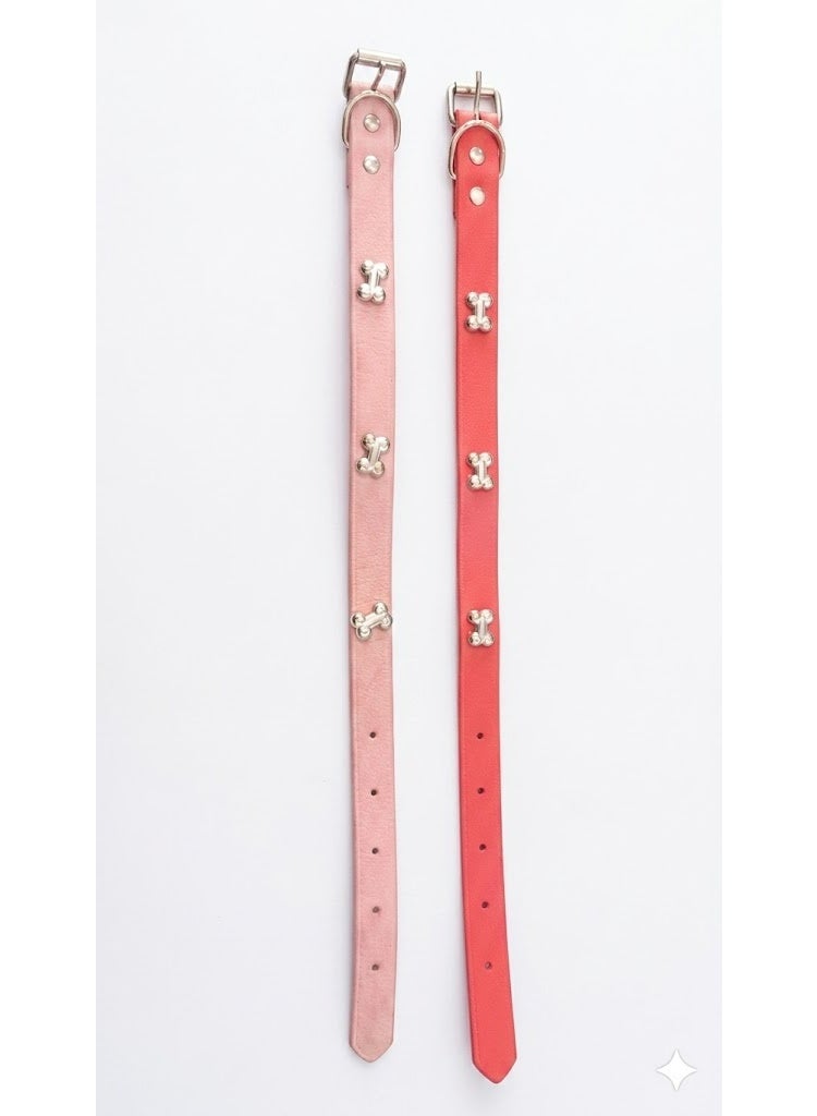 Leather Dog Collar with Bone Studs, Adjustable Buckle, Small-Medium.