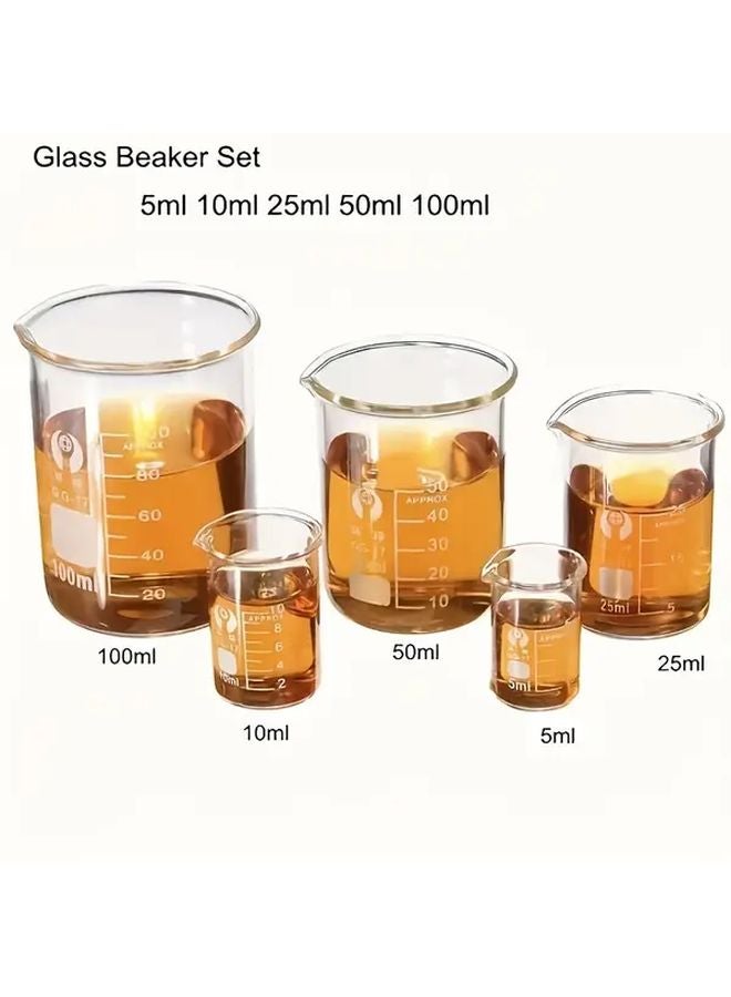 Durable Borosilicate Glass Beaker Set 5pcs V Shape Spout for Laboratory - Image 4