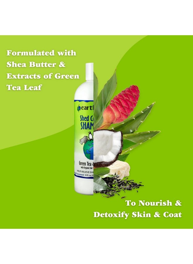 ايرث باث شامبو وبلسم للتحكم في تساقط الشعر للكلاب بالشاي الأخضر وأوابوهي - شامبو للكلاب خالٍ من القسوة، يساعد في تخفيف تساقط الشعر وقشرة الشعر، غسول لطيف للكلاب، صنع في الولايات المتحدة الأمريكية، مستلزمات استحمام للكلاب - 16 أونصة (مجموعة واحدة) - Image 2