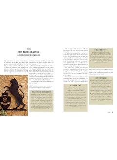 Around the World in 80 Novels: A Global Journey Inspired by Writers from Every Continent  - Image 3