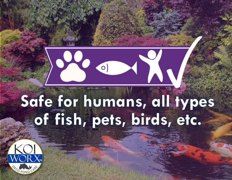 Koi Worx KoiWorx Defoamer - 32oz- Removes Foam from Decorative and Ornamental Ponds, Safe for Koi - Image 4