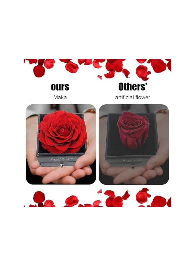 The Bros Eternal Rose with Necklace, Preserved Flower with Pendant, Gifts for Wife, Jewelry Gifts for Women, Sister, Girlfriend on Valentine Day, Birthday, Anniversary, Mother(2) - Image 3