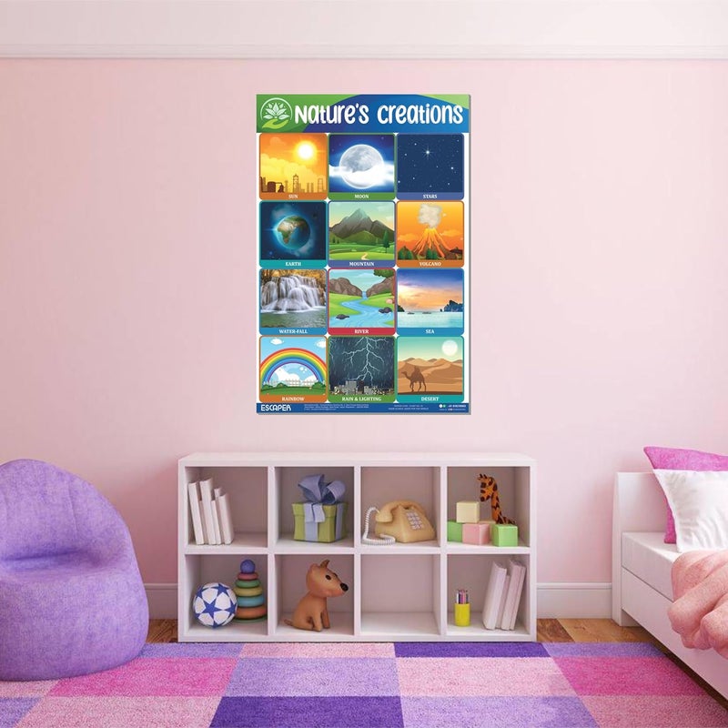 ESCAPER Nature's Creation Educational Charts for Kids, Charts for Kids Learning (11.5 x 17.5 inches), Kids Study Material, Kids Learning Books, Educational Posters - Image 5