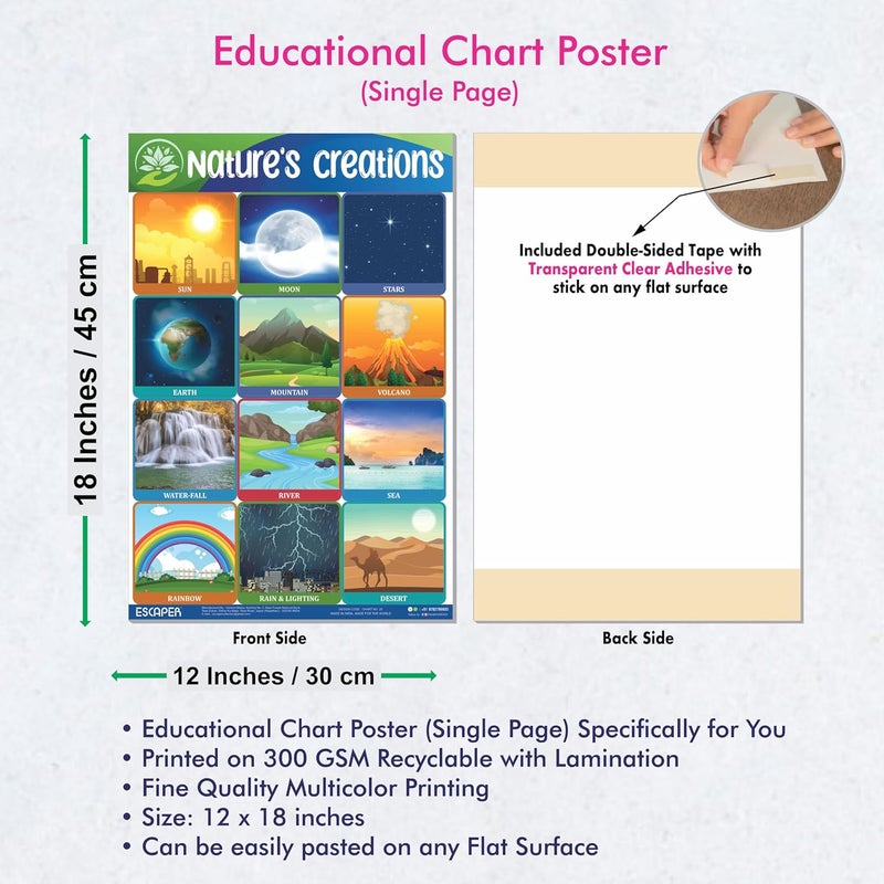 ESCAPER Nature's Creation Educational Charts for Kids, Charts for Kids Learning (11.5 x 17.5 inches), Kids Study Material, Kids Learning Books, Educational Posters - Image 3