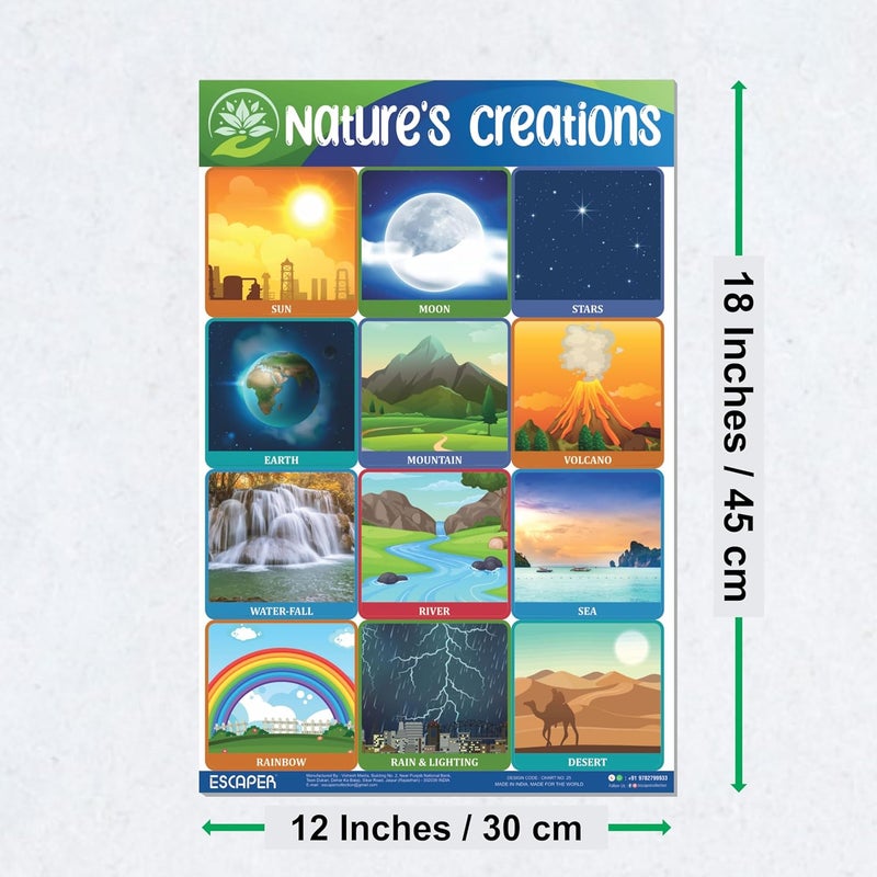 ESCAPER Nature's Creation Educational Charts for Kids, Charts for Kids Learning (11.5 x 17.5 inches), Kids Study Material, Kids Learning Books, Educational Posters - Image 2
