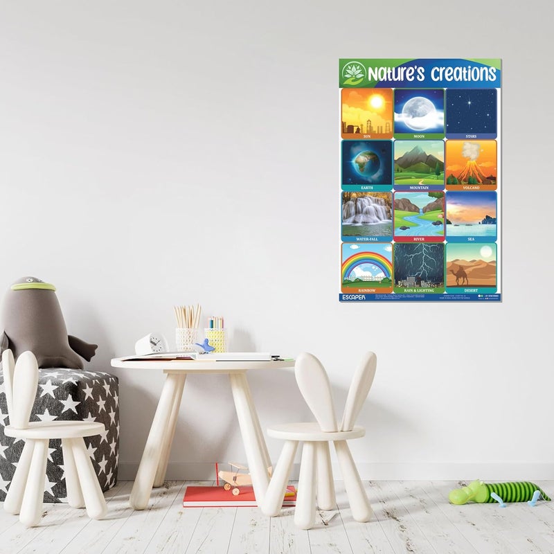 ESCAPER Nature's Creation Educational Charts for Kids, Charts for Kids Learning (11.5 x 17.5 inches), Kids Study Material, Kids Learning Books, Educational Posters - Image 4