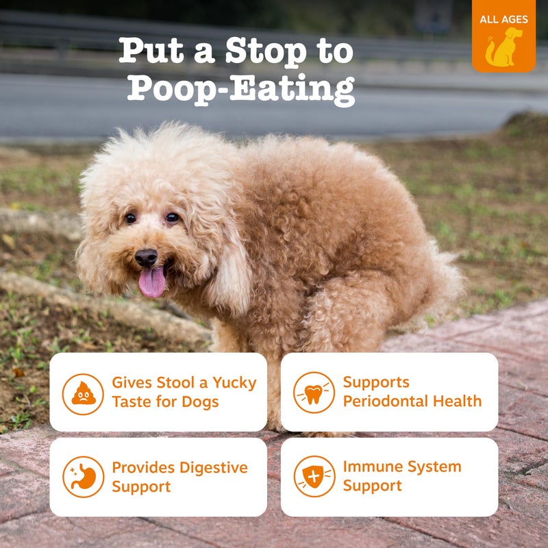 Zesty Paws Chew No Poo Bites for Dogs - Stool Eating Deterrent Soft Chews for Dogs - Gut, Periodontal & Immune System Support - Premium DE111 Bacillus subtilis Probiotic - AE Bison - 90 Count - Image 2