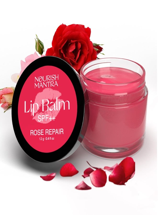 Nourish Mantra Rose Repair Lip Balm with SPF/Made with Rose Extracts, Olive oil, Shea Butter, Vitamin E and Avocado Oil/For Dry, Chapped and Dark Lips/ 12gms - Image 1