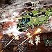 JMBricklayer Military Helicopter Building Sets 61510 Ka27 Helicopter Collectible Display Model Airplane Military Collection Construction Toys for Teens and Adults Gift Ideas1800 Pieces - Image 4