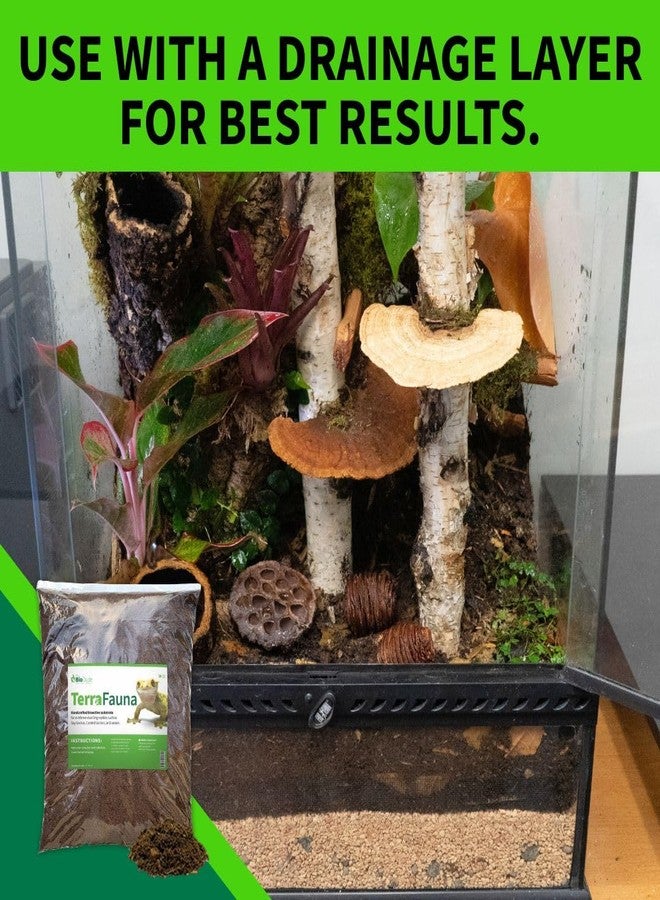 BIODUDE The Bio Dude Terra Fauna Bioactive Reptile Substrate 6 quarts for Terrarium and Vivarium Habitat. Great for Crested Geckos, Gargoyle Geckos, Day Geckos, Whites Tree Frogs and Indoor Gardening - Image 4