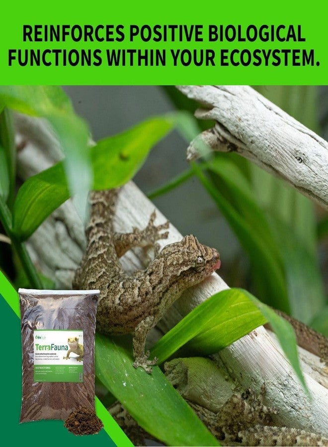 BIODUDE The Bio Dude Terra Fauna Bioactive Reptile Substrate 6 quarts for Terrarium and Vivarium Habitat. Great for Crested Geckos, Gargoyle Geckos, Day Geckos, Whites Tree Frogs and Indoor Gardening - Image 5