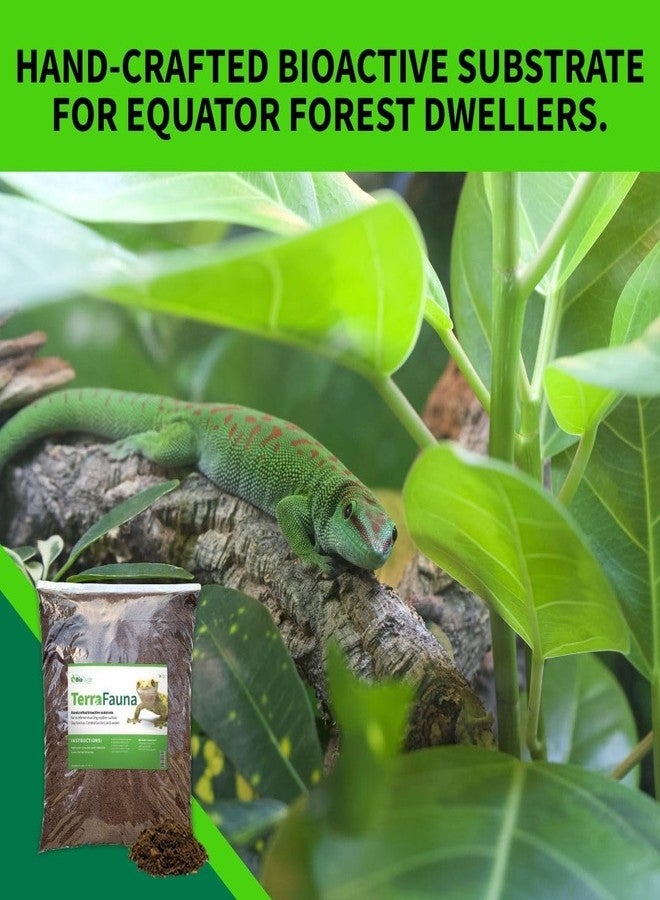 BIODUDE The Bio Dude Terra Fauna Bioactive Reptile Substrate 6 quarts for Terrarium and Vivarium Habitat. Great for Crested Geckos, Gargoyle Geckos, Day Geckos, Whites Tree Frogs and Indoor Gardening - Image 2