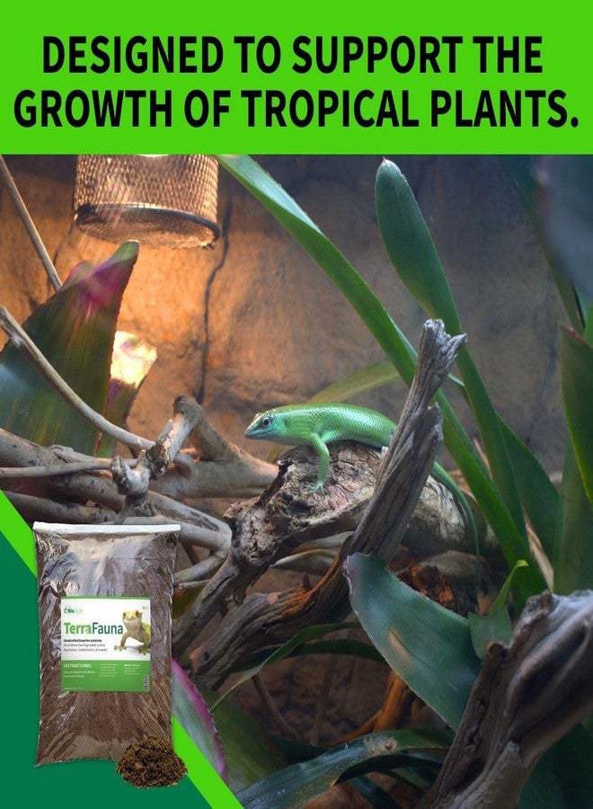 BIODUDE The Bio Dude Terra Fauna Bioactive Reptile Substrate 6 quarts for Terrarium and Vivarium Habitat. Great for Crested Geckos, Gargoyle Geckos, Day Geckos, Whites Tree Frogs and Indoor Gardening - Image 3