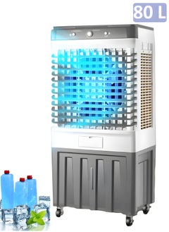 Cady One Desert air cooler with a large water tank with a capacity of 80 liters and a power of 100 watts  - Image 1