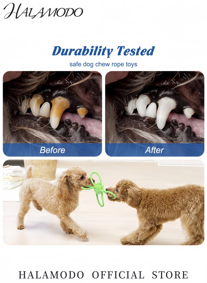 Halamodo لعبة حبل قطني صديقة للبيئة للكلاب لعبة حيوانات أليفة محبوكة مربوطة للكلاب المتوسطة والصغيرة لعبة مضغ متينة للكلاب العدوانية لعبة شد تفاعلية ولعبة ضد الملل - Image 4