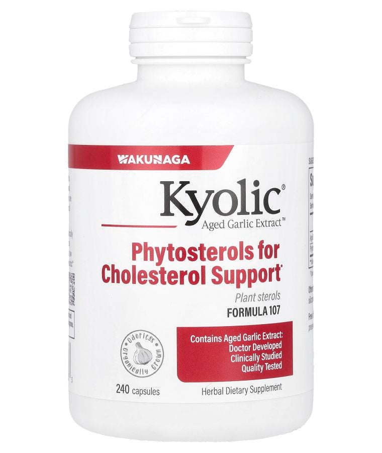 kyolic Aged Garlic Extract™ Formula 107 240 Capsules