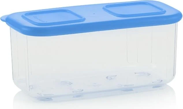 Tupperware Transparent Container Set of 2 460 ml and 715 ml
