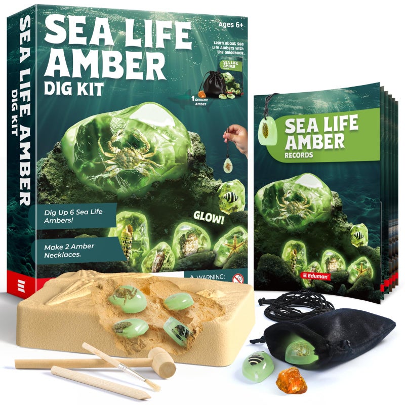 EDUMAN Amber Dig Kit6 Artificial Sea Life Resin Specimens Glow in The Dark Oceanlife Fossil Excavation Set STEM Inspired Educational Toy for Kids Ages 612 for Boys Girls - Image 3